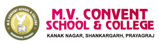 M.V. Convent School, Shankargarh